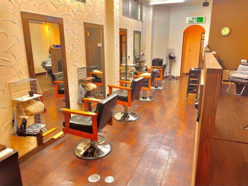 Nadia by charis【ナディアバイカリス】 花巻 | 北上 | 花巻のヘアサロン