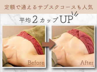 【バストアップ専門店】ふじこのみらいbyラディアンヌ | 京橋のエステサロン