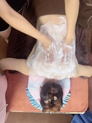 リラクゼーション向日葵 | 広島駅周辺のリラクゼーション