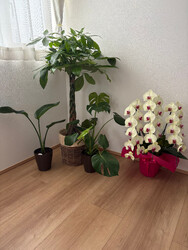 妊活お手当てサロン こうのとり | 白山のリラクゼーション