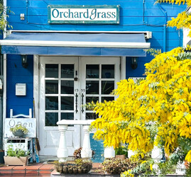 Orchardgrass | 町田のヘアサロン