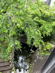 SUN 白金台 本館 | 目黒のヘアサロン