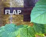 FLAP | 佐倉のヘアサロン