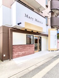 Mary Harris【メアリーハリス】姪浜《ネイル/まつげパーマ/マツエク/眉毛/脱毛》 | 西新/姪浜のアイラッシュ