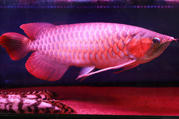 Chic髪質改善METEO(メテオ)取り扱いサロン【シック】 | 静岡のヘアサロン Chic髪質改善METEO(メテオ)取り扱いサロン【シック】 | 静岡のヘアサロン