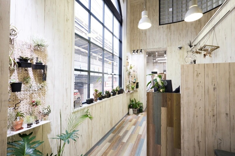 美容室 elsoa.styles 下総中山店（エルソア） | 船橋のヘアサロン