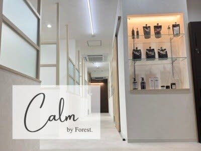 Calm by Forest. 髪質改善 個室美容室 三郷中央 【カーム】 | 三郷のヘアサロン