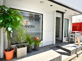 CANORA NAIL 【カノラ】 | 府中のネイルサロン