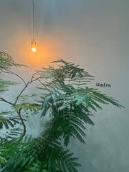 Helm【ヘルム】 | 名駅のヘアサロン