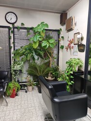 エリカ美容室 | 守山のヘアサロン