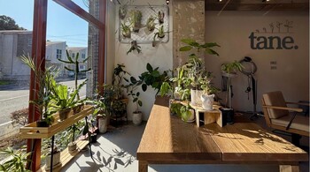 tane.【タネ】 | 多摩のヘアサロン tane.【タネ】 | 多摩のヘアサロン