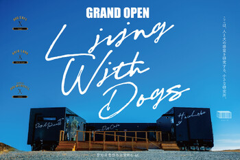 HAIR LABO ONE by Angie | 豊田のヘアサロン