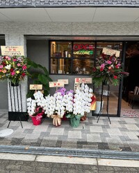 alto Lino | 天満橋/谷町四丁目のヘアサロン