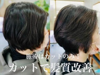 せぴあ | 松山のヘアサロン