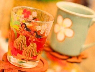 ハワイアンフォレストSpa横浜本店～ロミロミ&ヘッドスパ～ | 横浜のリラクゼーション