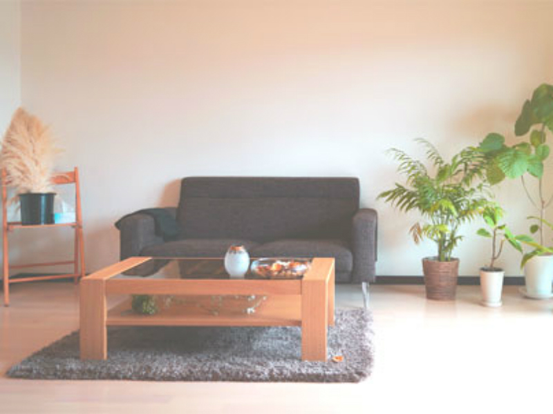 隠れ家エステTIMELESS | 宗像のエステサロン