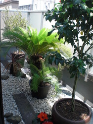 Royal Therapist 袋町店 | 袋町/本通/紙屋町/立町のアイラッシュ