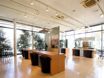 カット・スタジオ・SQUALL | 前橋のアイラッシュ