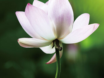 フラクタルデザイン 諫早店 | 諫早のリラクゼーション