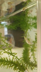 Hair's Cafe an | 都島のヘアサロン