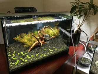 Bande | 寝屋川のヘアサロン