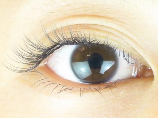 Blue Rose | 天満/南森町のアイラッシュ