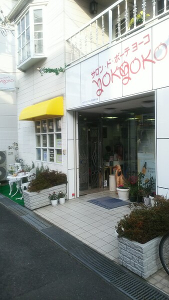 salon de beaute YOKO | 茨木のヘアサロン