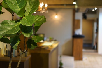 carpa | 御池/御所/二条城のヘアサロン carpa | 御池/御所/二条城のヘアサロン