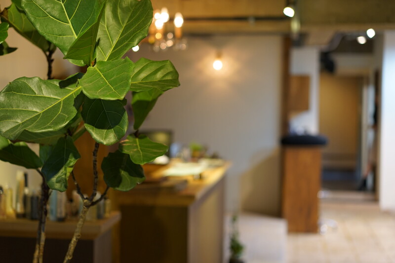 carpa | 御池/御所/二条城のヘアサロン