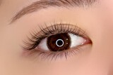 eyelash salon eminaru | 都島のアイラッシュ