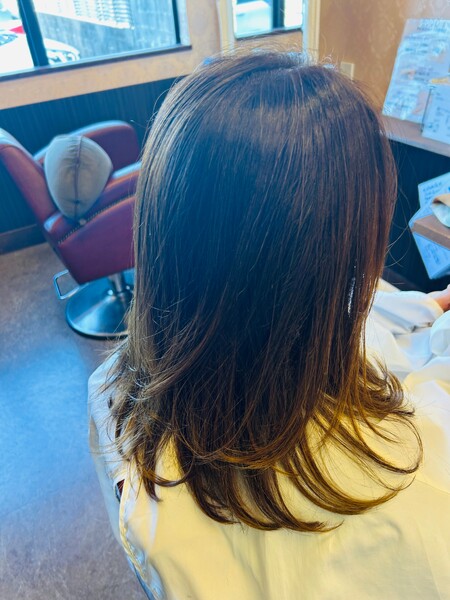 Pixie Bob | 四日市のヘアサロン