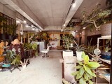 conocoa | 門真のヘアサロン