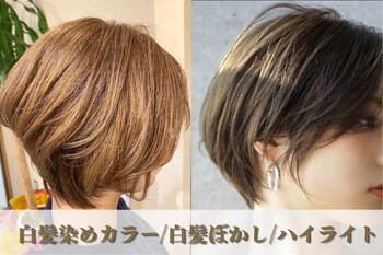 Reglus hair design 西新店【レグルス ヘア デザイン】 | 西新/姪浜のヘアサロン Reglus hair design 西新店【レグルス ヘア デザイン】 | 西新/姪浜のヘアサロン