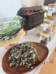 札幌よもぎ蒸し温活サロン VIVACE | すすきののリラクゼーション 札幌よもぎ蒸し温活サロン VIVACE | すすきののリラクゼーション