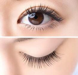 elio eyelash &brow | 草加のアイラッシュ elio eyelash &brow | 草加のアイラッシュ