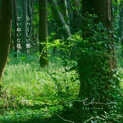 Beautism Elm 茗荷谷 | 大塚のヘアサロン