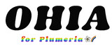 OHIA for Plumeria | 水戸のヘアサロン