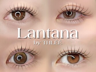 Lantana by THLEE | 六本木のアイラッシュ