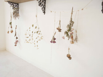 BENCh 新宿店 | 新宿のヘアサロン