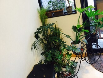 SLASH | 下北沢のヘアサロン