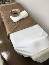 プライベートエステサロン Plaisir | 御器所のエステサロン