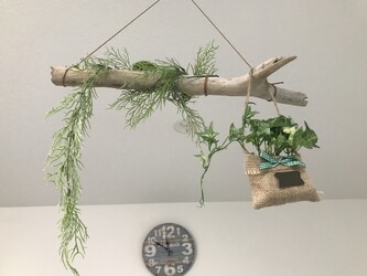 Astilbe | 旭川のヘアサロン