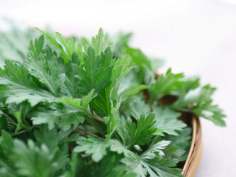 relaxation salon AILE | 相模原のリラクゼーション