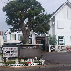 Hair make＆SPA！エステKaeru | 富士のヘアサロン