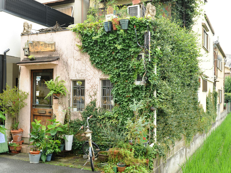 HARVEST | 嵐山/嵯峨野/桂のヘアサロン