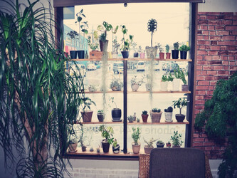 VOLK | 橿原のヘアサロン