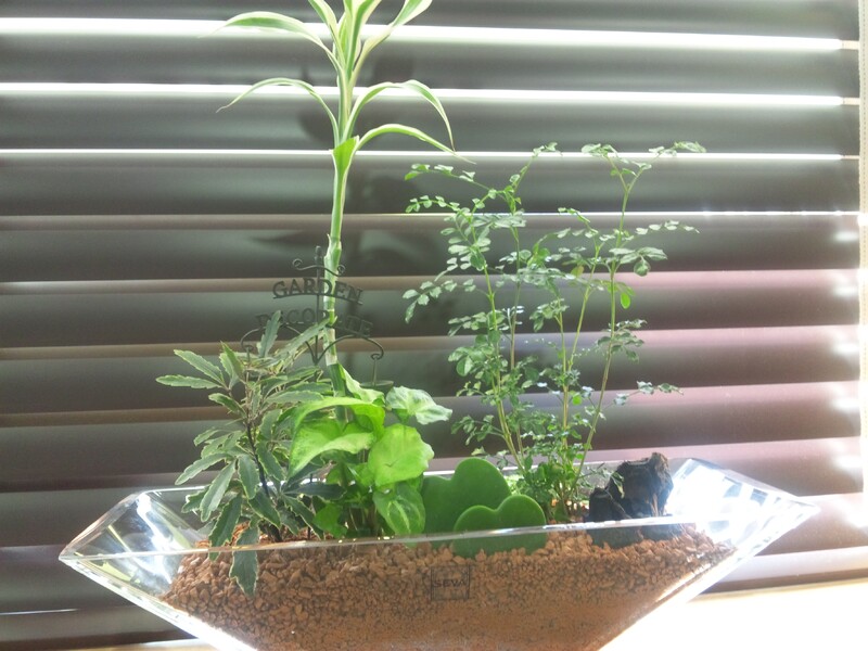 hair salon Switch | 上田のヘアサロン