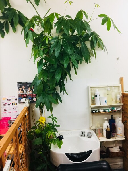 カットハウスキャロル | 那覇のヘアサロン