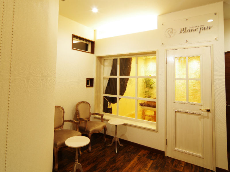 Shaving&este Blanc pur | 前橋のエステサロン