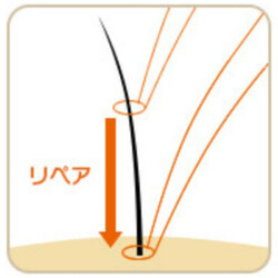 増毛エクステ専門店SENSE by plushair 新宿店 | 新宿のヘアサロン